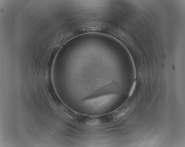 X0000068900551200605051425