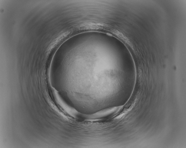 X0000068900581200605051425
