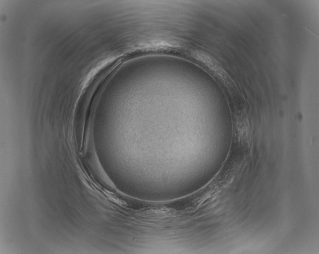 X0000068900583200605051425