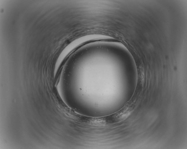 X0000068900619200605051424