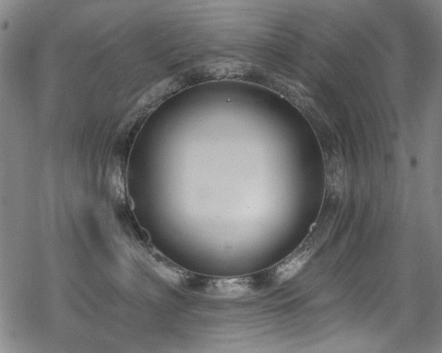 X0000068900622200605051424