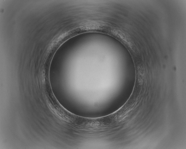 X0000068900631200605051424