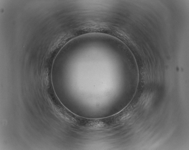 X0000068900642200605051424
