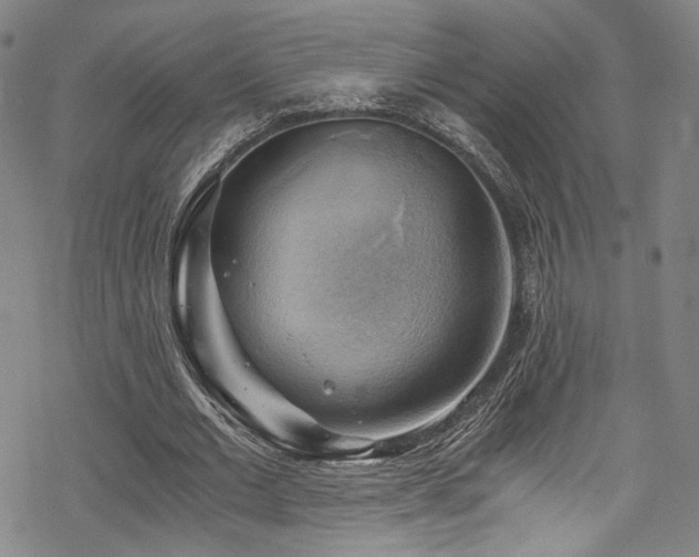 X0000068900677200605051423