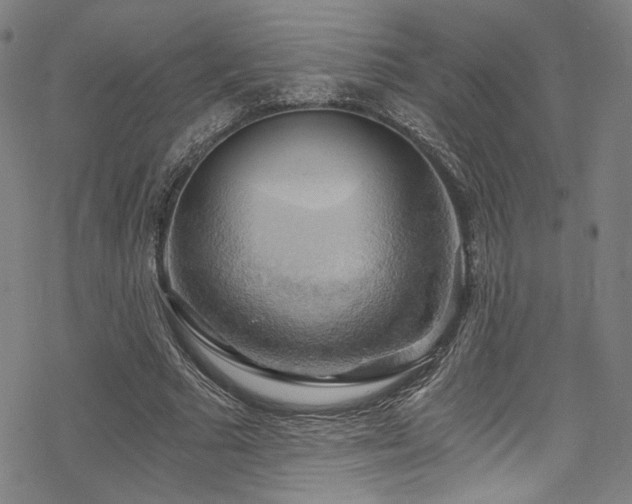 X0000068900681200605051423