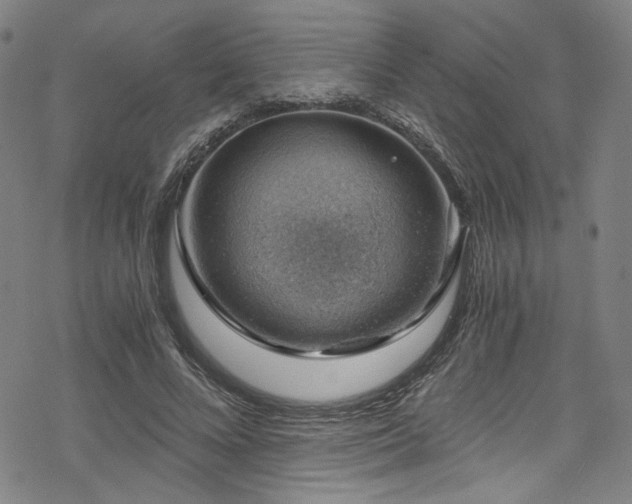 X0000068900688200605051423
