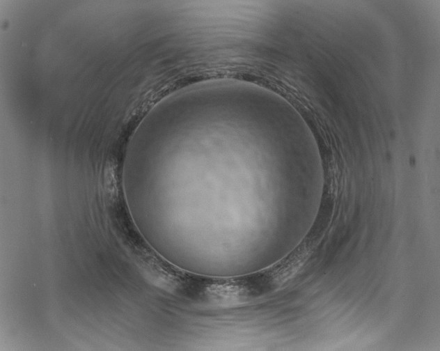 X0000068900699200605051423
