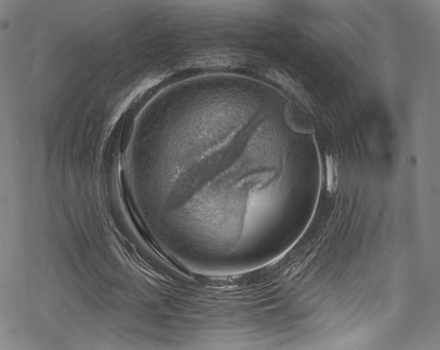 X0000068900723200605051422