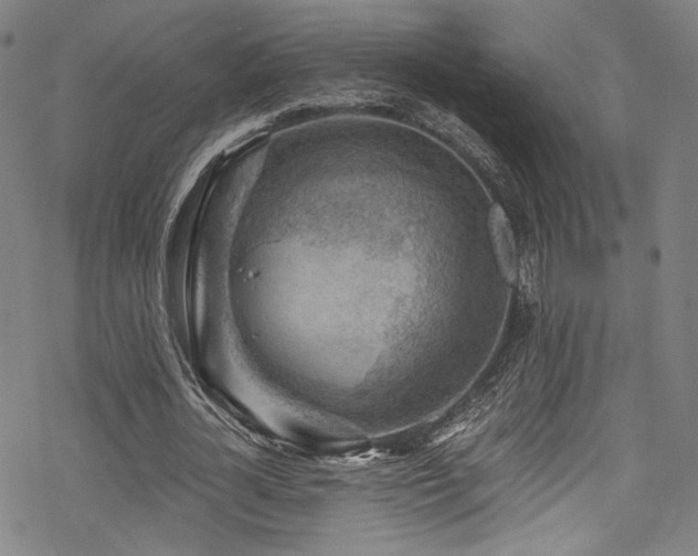X0000068900724200605051422
