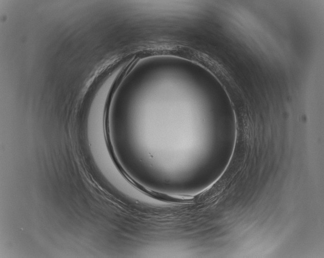 X0000068900731200605051422