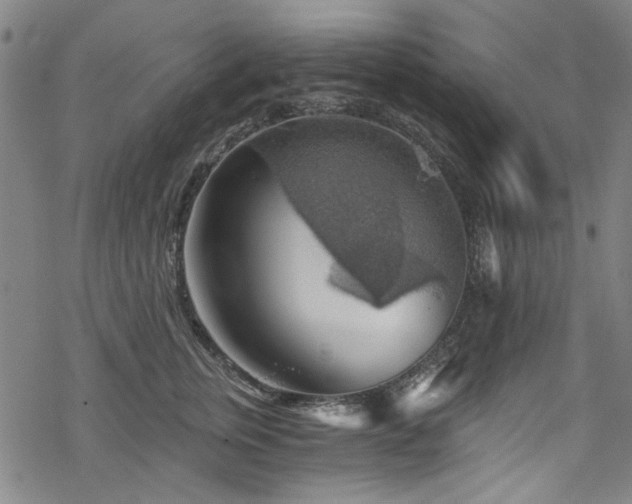 X0000068900759200605051422