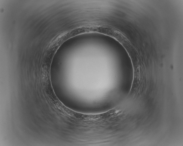 X0000068900773200605051422