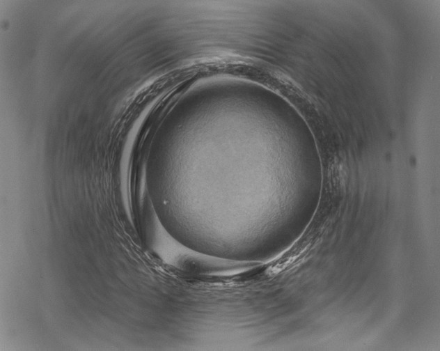 X0000068900822200605051420