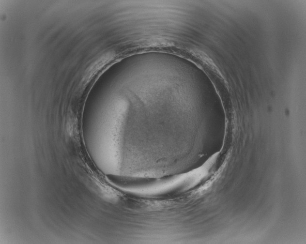 X0000068900881200605051420