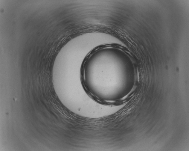 X0000068900916200605051419