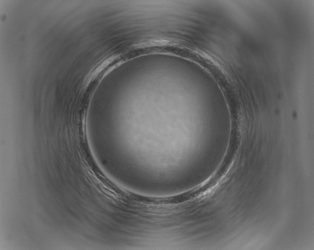 X0000068900921200605051419