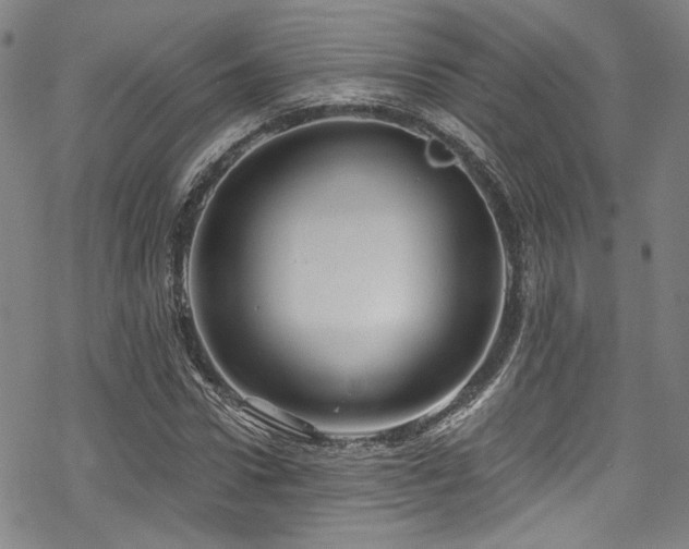 X0000068900922200605051419