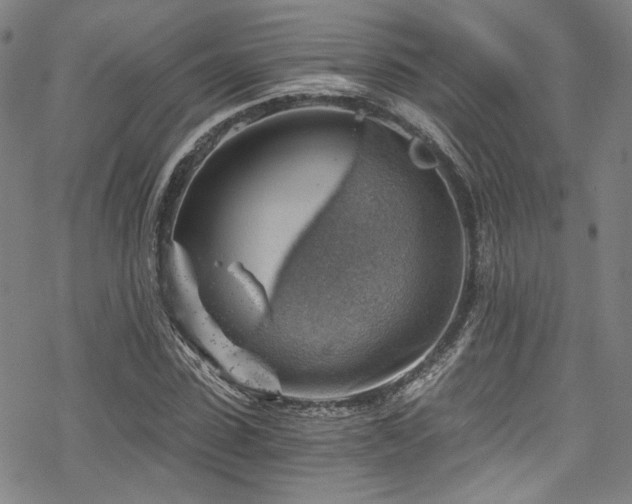 X0000068900923200605051419
