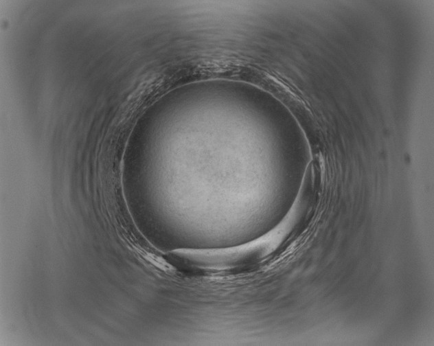 X0000068900961200605051419