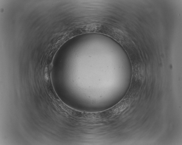 X0000068900962200605051419