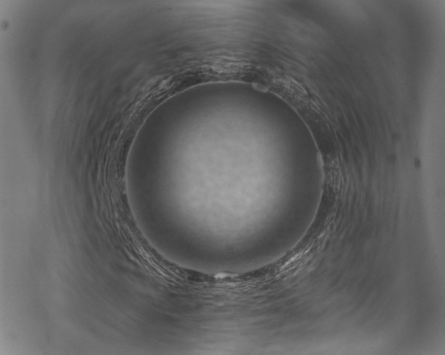 X0000068901009200605051417