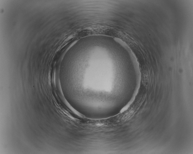 X0000068901010200605051417