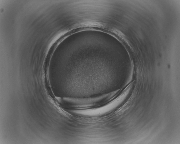 X0000068901024200605051417