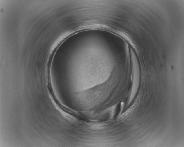 X0000068901046200605051418