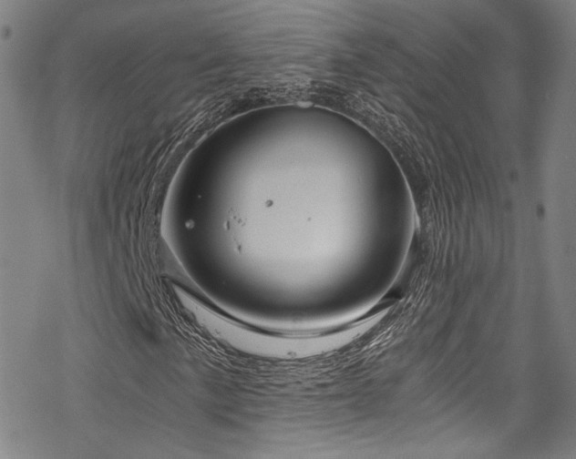 X0000068901057200605051417