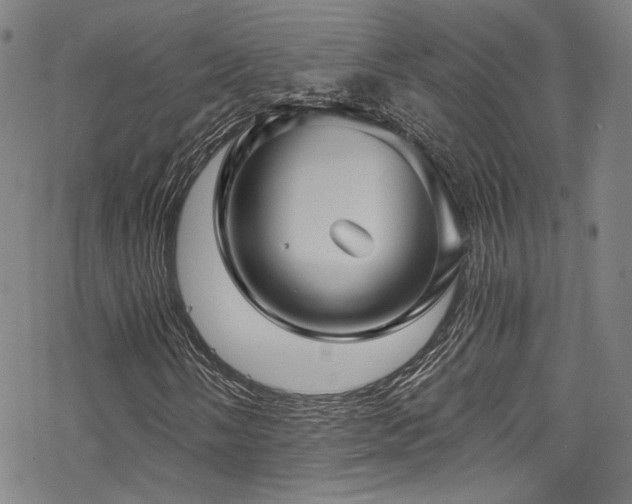 X0000068901058200605051417