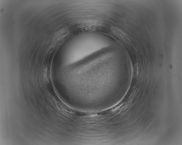 X0000068901060200605051417