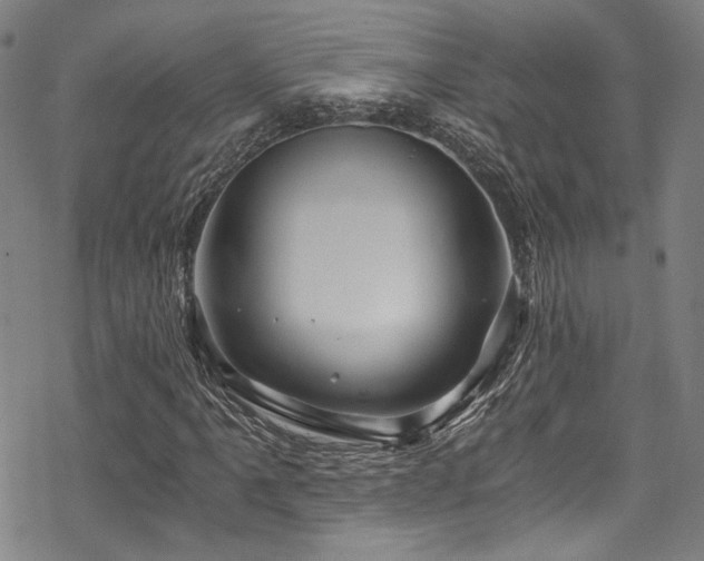 X0000068901061200605051417