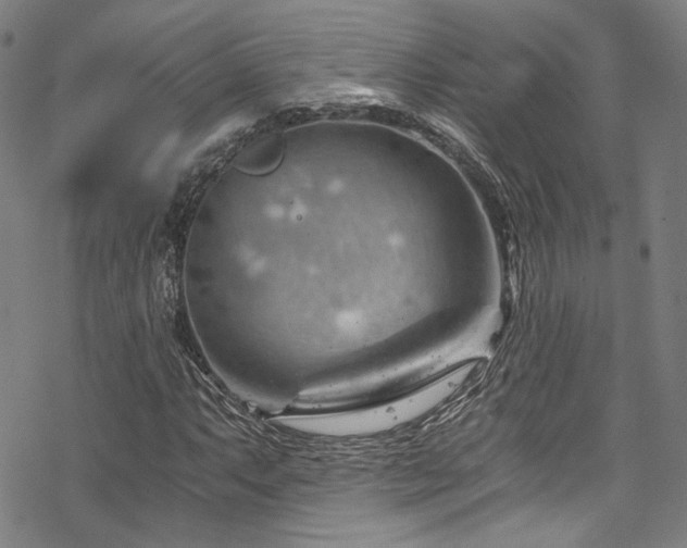 X0000068901063200605051417