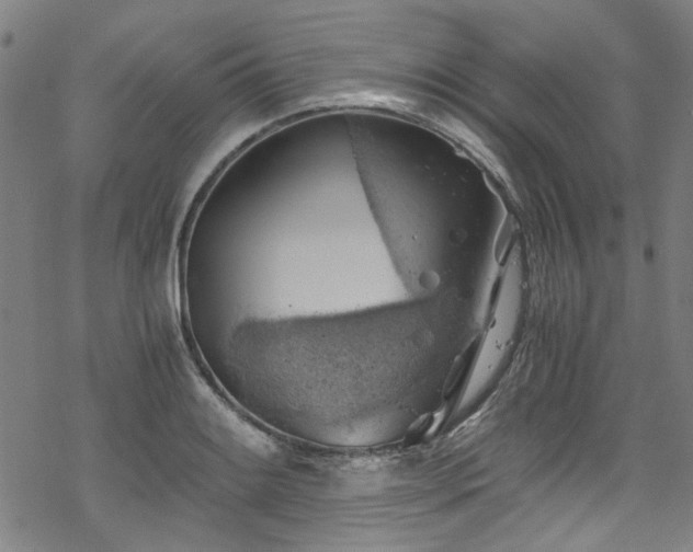 X0000068901084200605051417