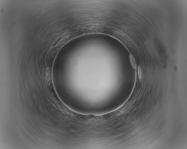 X0000068901107200605051415