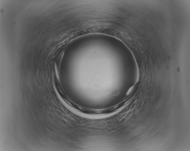 X0000068901109200605051415