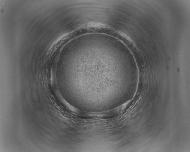 X0000068901112200605051416