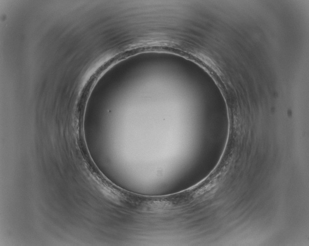 X0000068901119200605051416