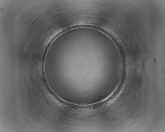 X0000068901121200605051416