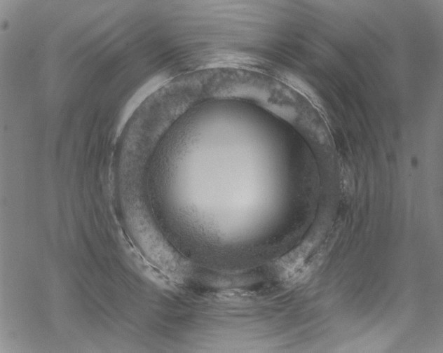 X0000068901138200605051416