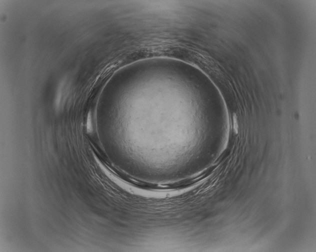 X0000068901155200605051415