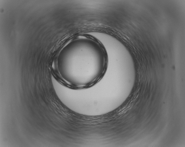 X0000068901156200605051415