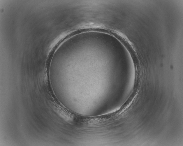 X0000068901167200605051415