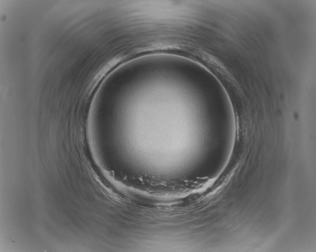 X0000068901177200605051415