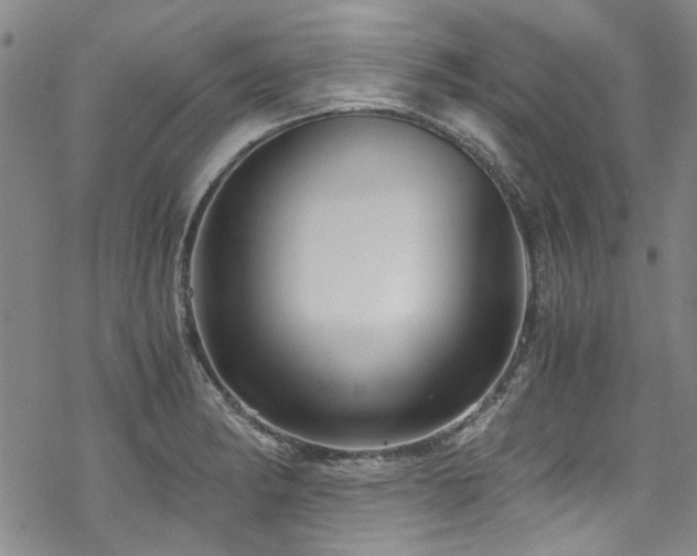 X0000068901182200605051415