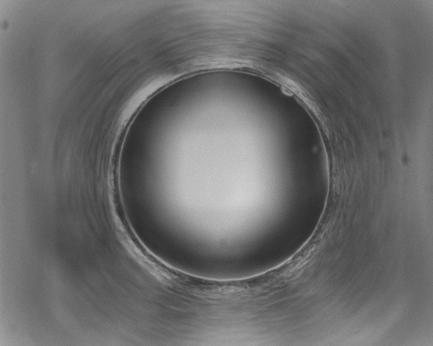 X0000068901187200605051415