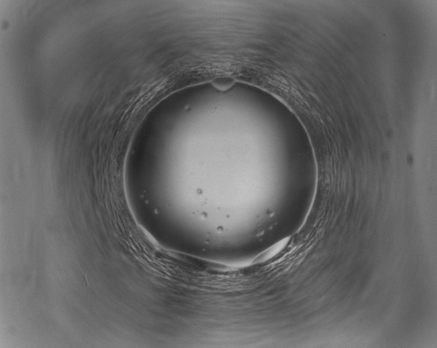 X0000068901201200605051414