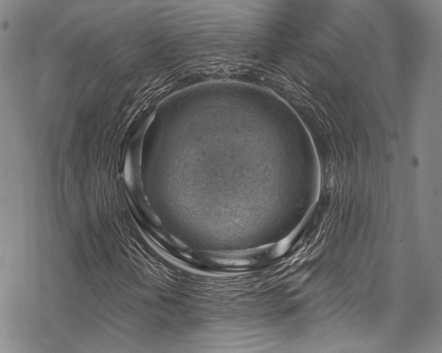 X0000068901202200605051414