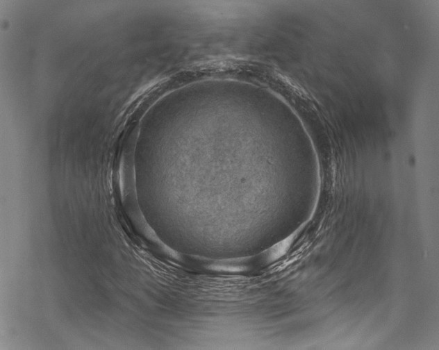 X0000068901206200605051414