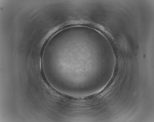 X0000068901221200605051414